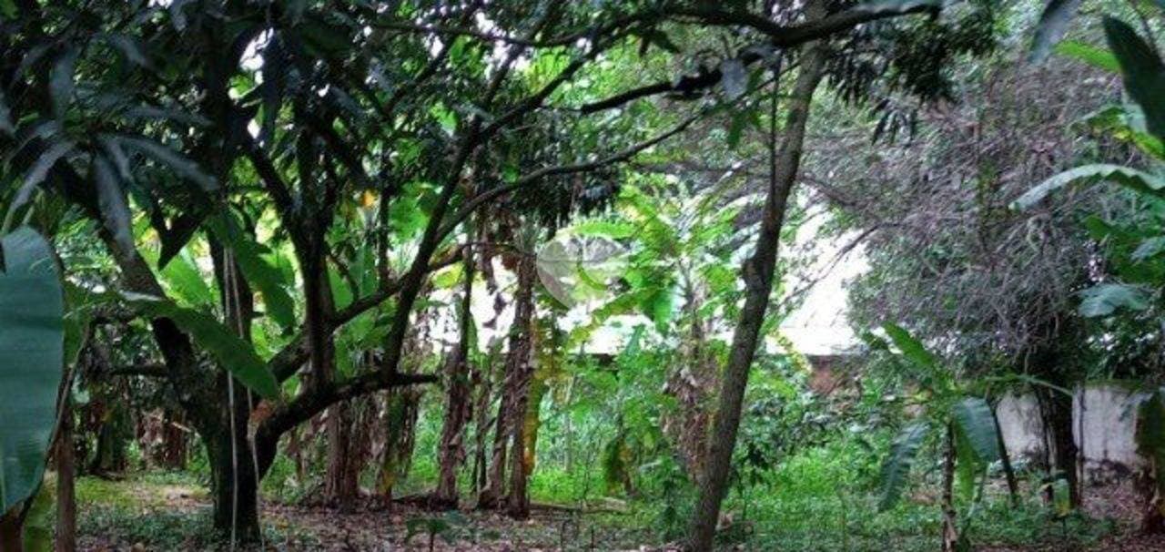 Imagem de destaque do card do terreno